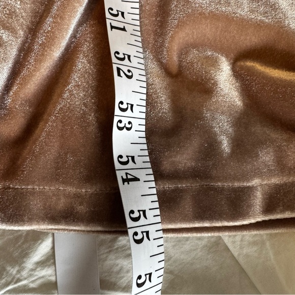 Revelry Velvet Cowl Back Gown Champagne Size 6 Formal Holiday luxe - Picture 7 of 7